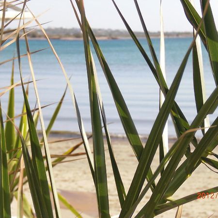 Panormos Hotel And Studios Naxos City Exteriör bild